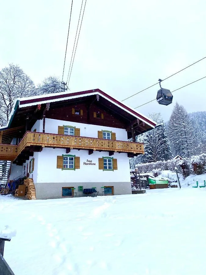 Apartment Ferienwohnung Alpenblume Königssee Schönau am Königssee